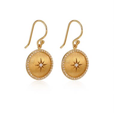 Star Disk Hook Earrings