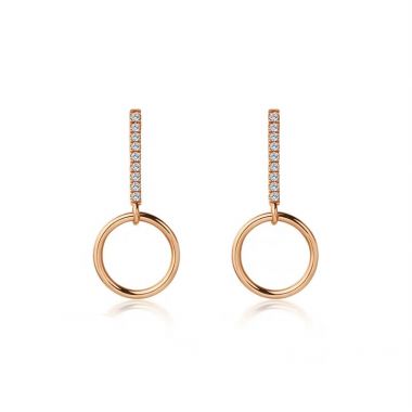 Cubic Zirconia Bar & Plain Circle Drop Earring