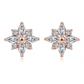 Brilliant Zircon Snowflake Earrings